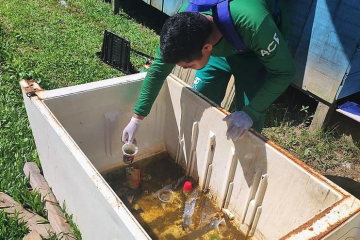 Amazonas Confirma 344 Casos de Dengue e 5 de Chikungunya