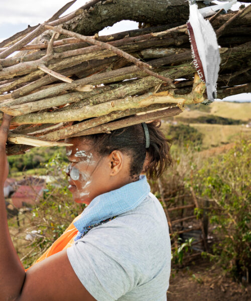 Leme Empreendimentos e Participações Limitadas: atuação ligada ao patrimônio rural e ao desenvolvimento no Brasil